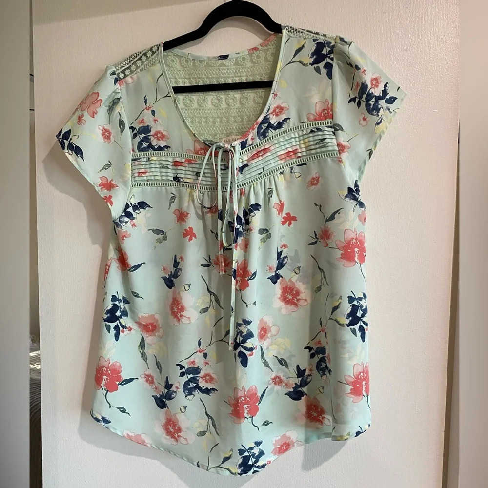 Blu Pepper Blouse, size 2XL